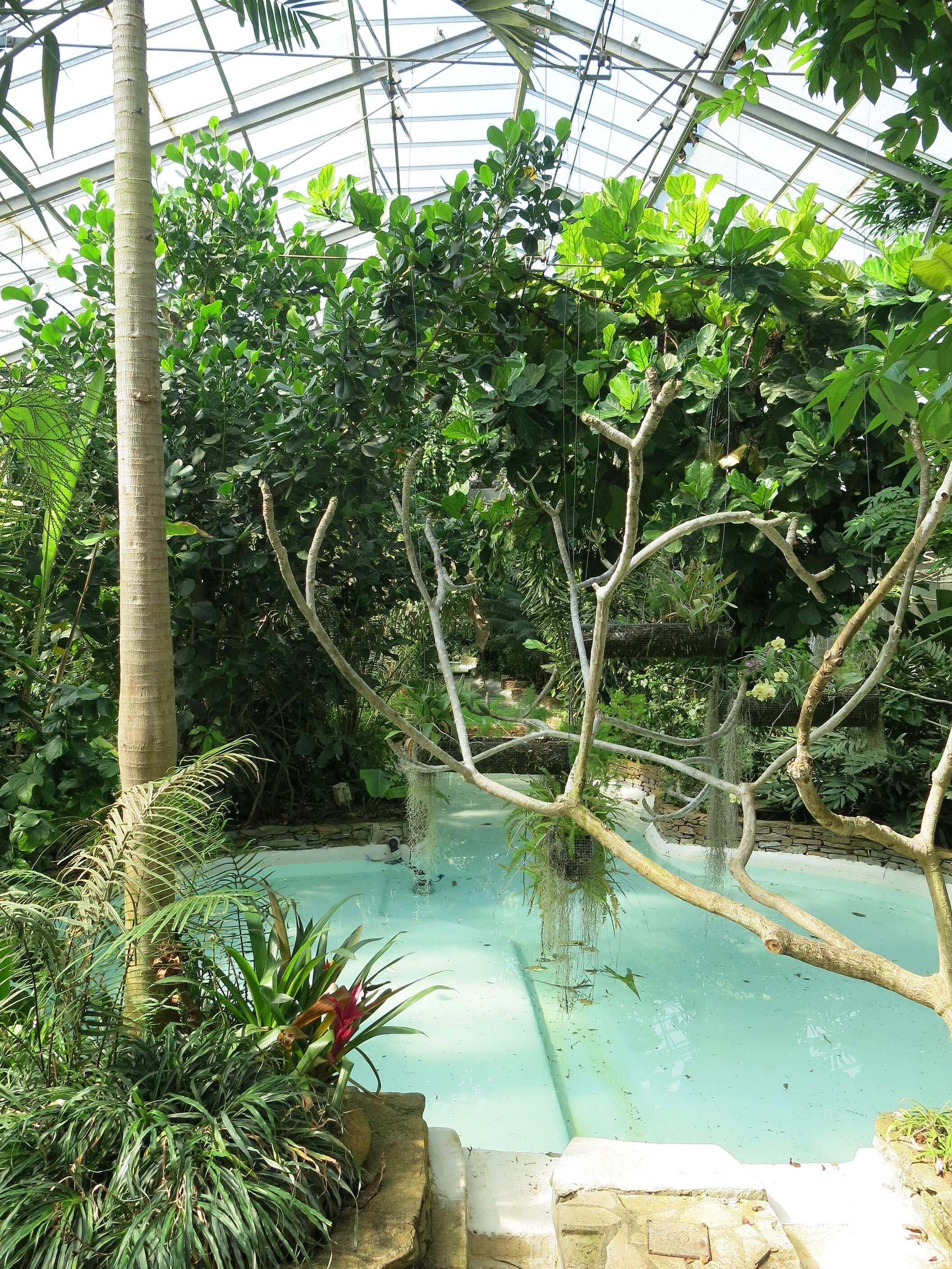 온실 내부 및 주변