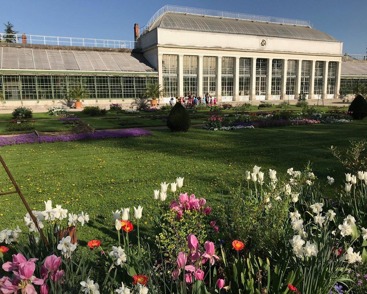 오랑주리 및 열대 온실 (L'Orangerie et les Serres Tropicales)