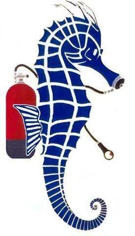 🐠 해마 다이빙 칼비 (이포캄프 플롱제 칼비)