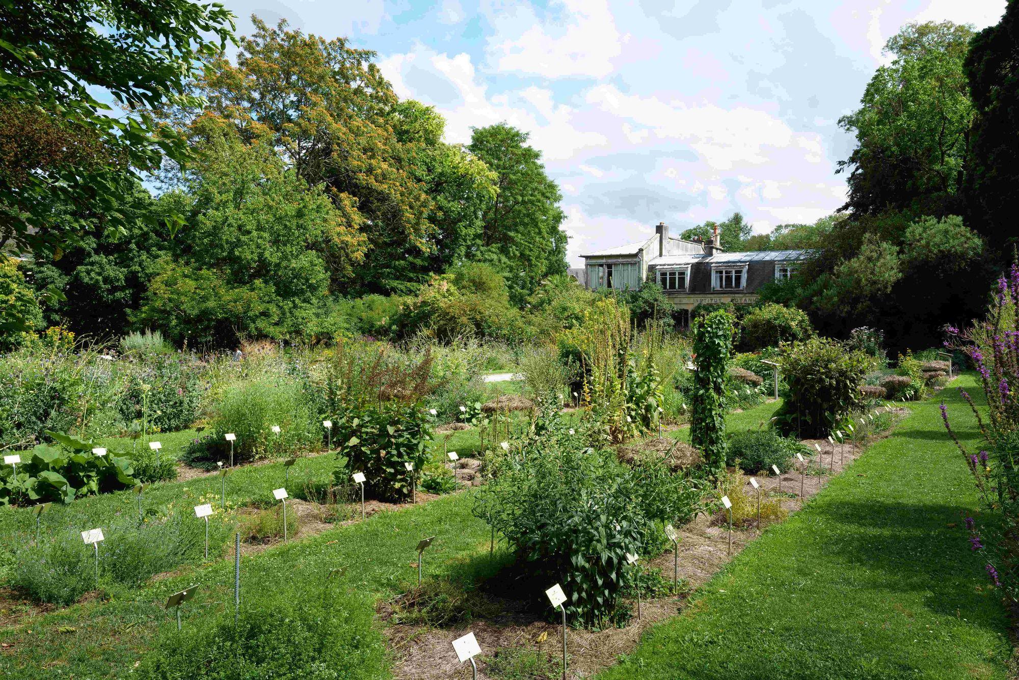 🌳 캉 식물원(자르뎅 데 플랑트 드 캉)
