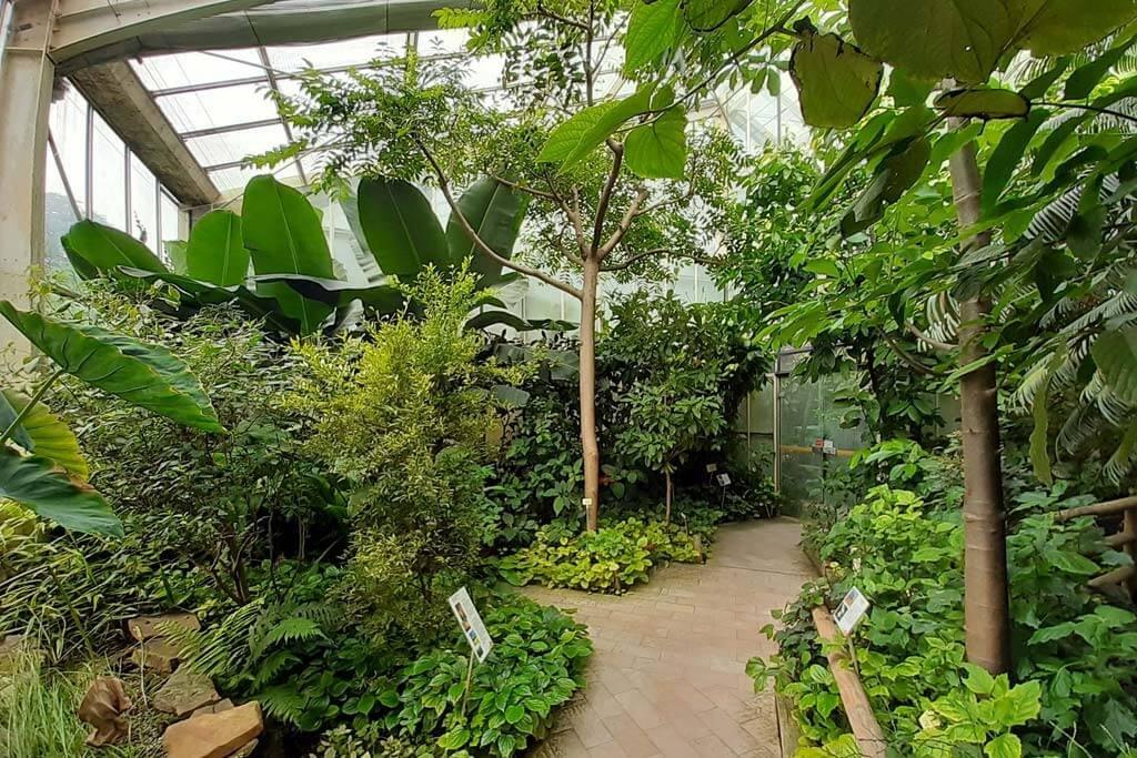 열대 온실 내부