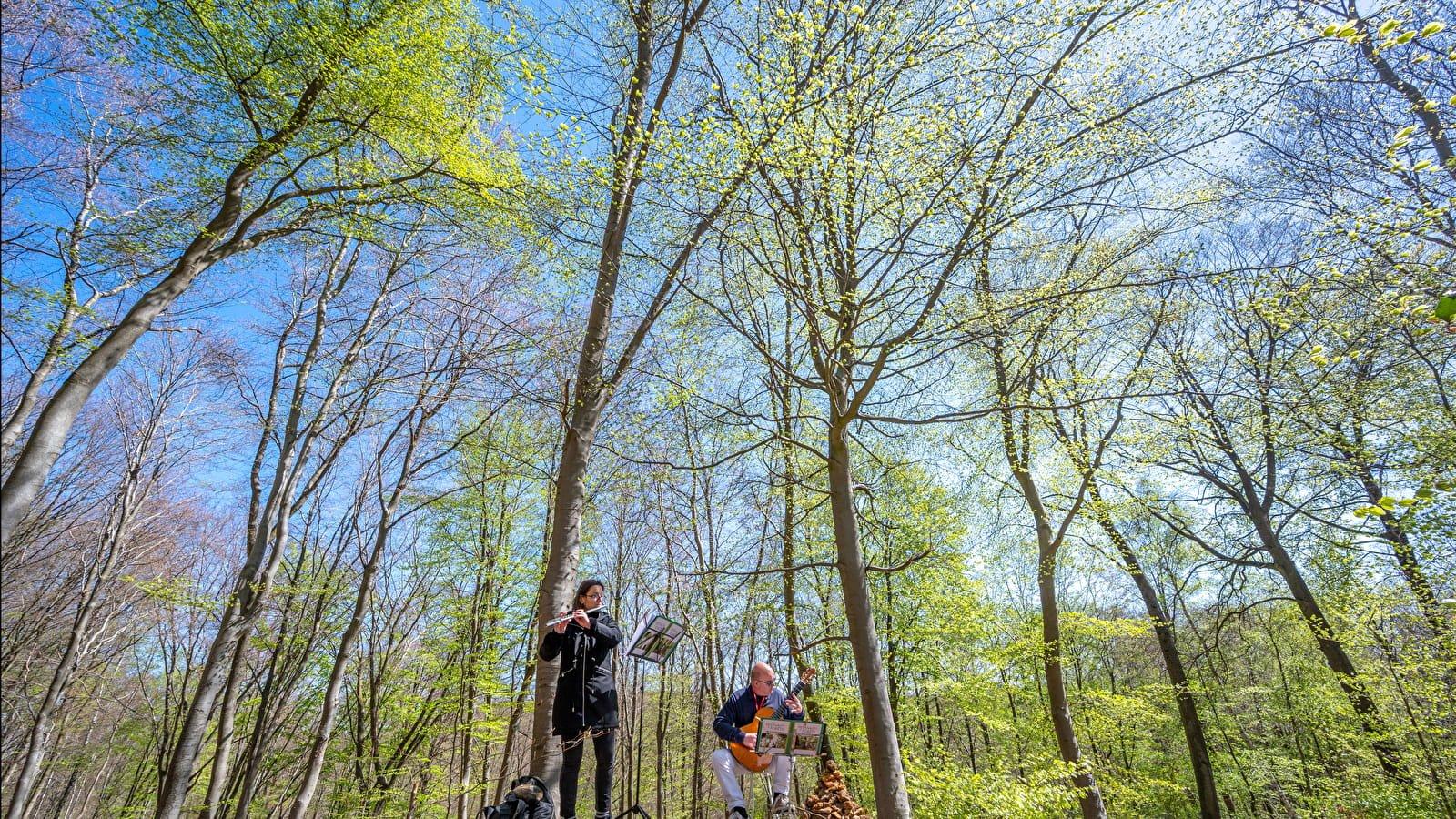 숲의 축제 포스터 또는 공연 장면