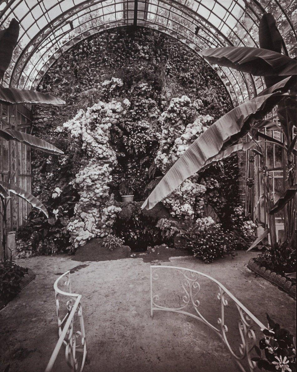 고풍스러운 온실 내부 또는 입구