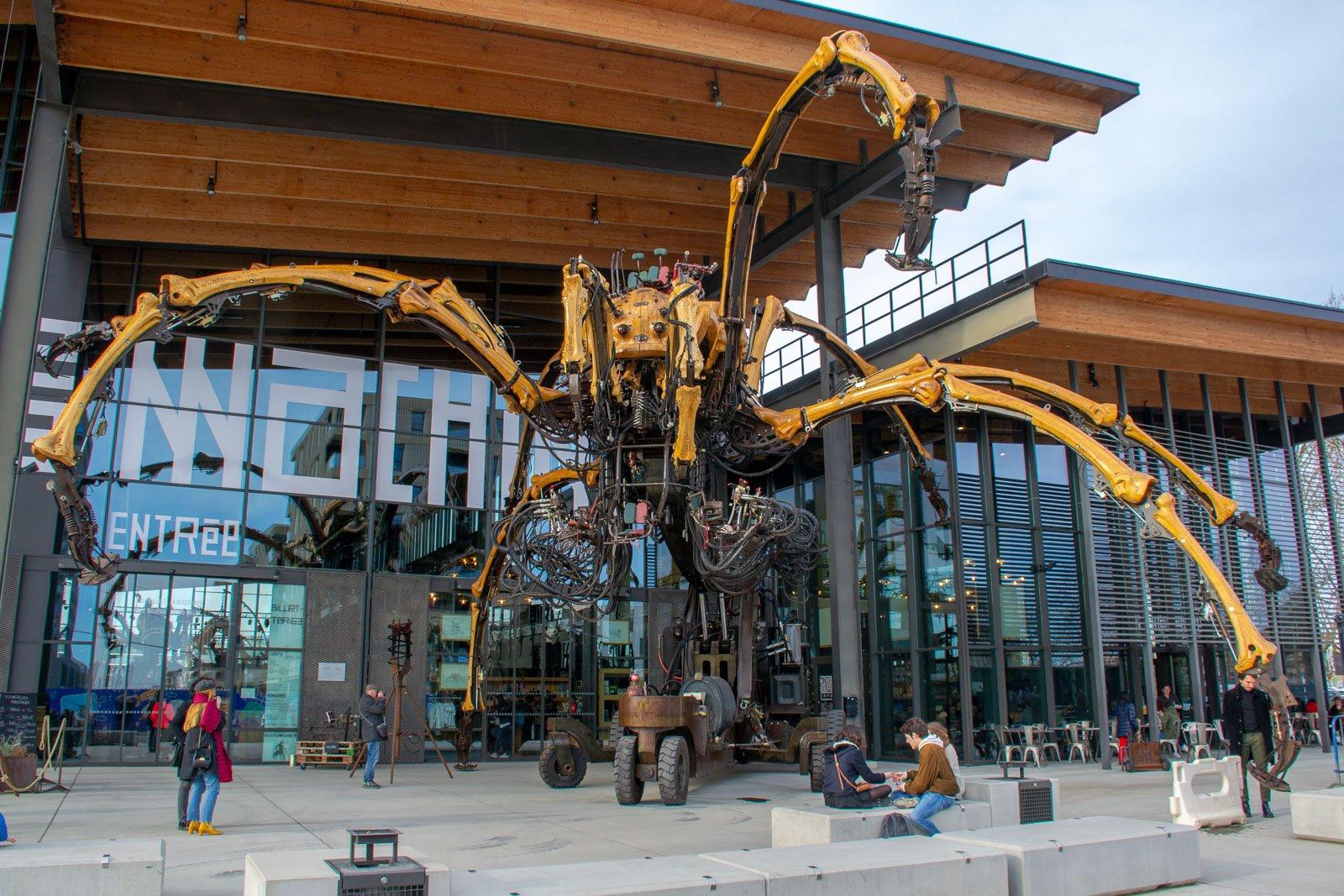 아리안 거미 (외부 전시 시)