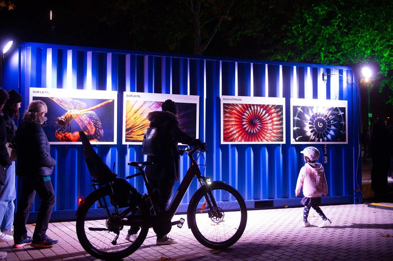 빛의 부두 축제