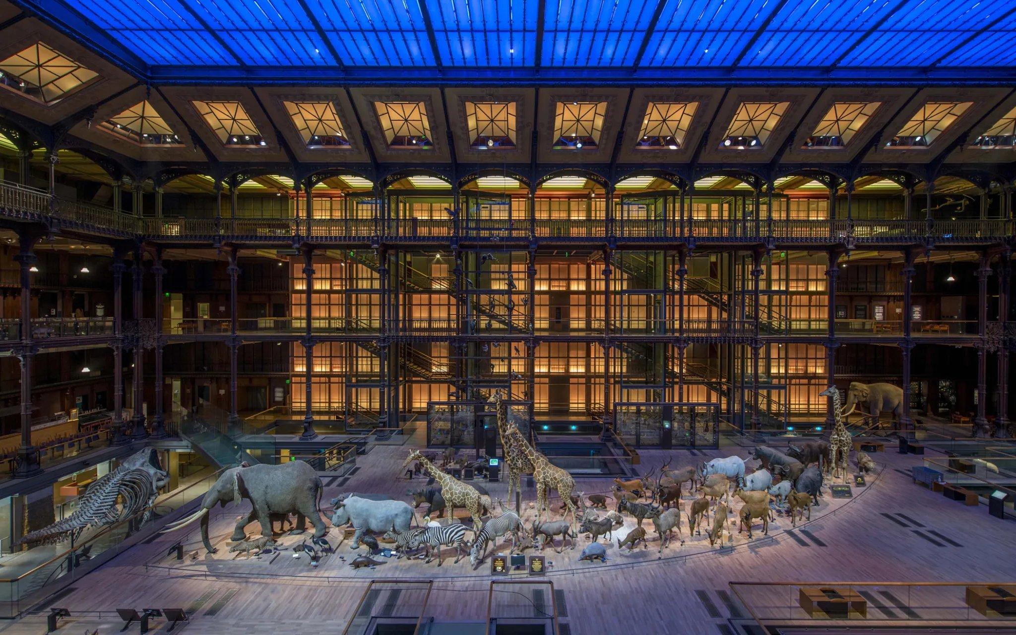 진화 대전시관 중앙 홀 (동물 퍼레이드)