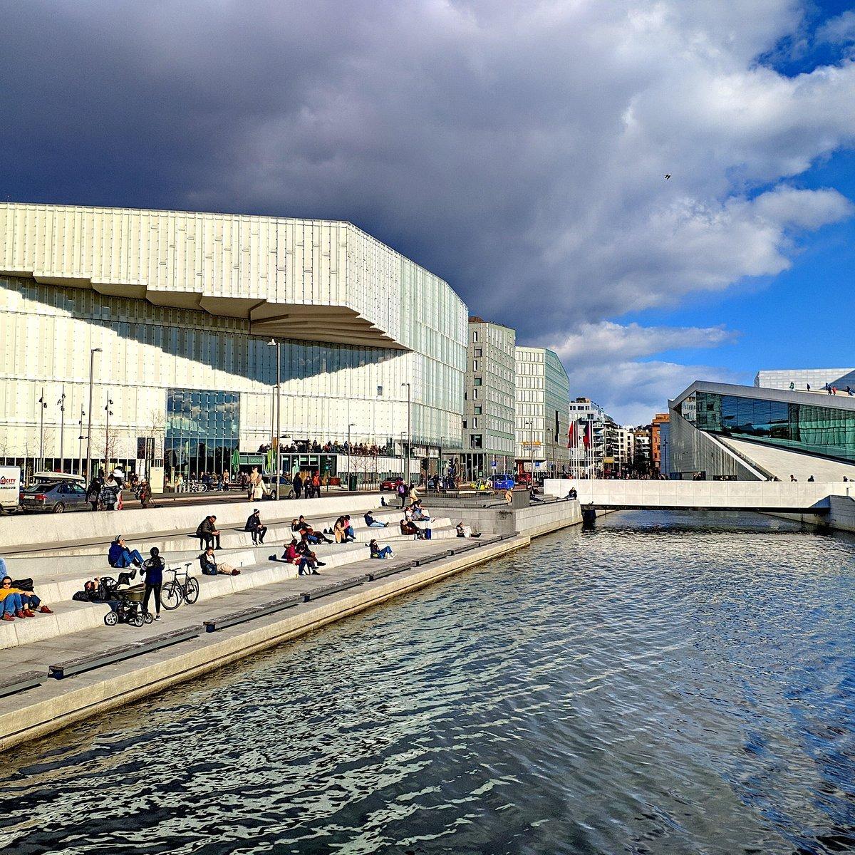 📚 다이크만 비에르비카