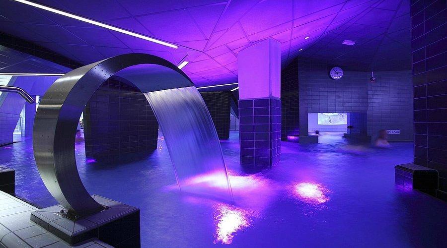 🌊 콕풍크텐 액션바드