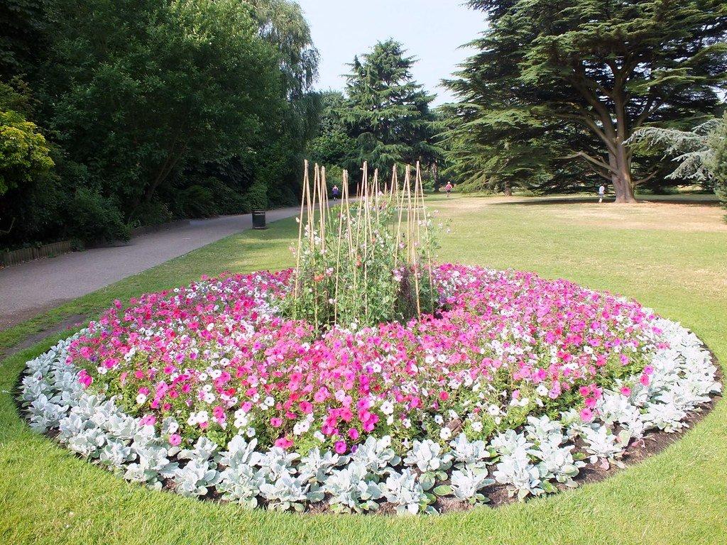 꽃밭 (Flower Garden)