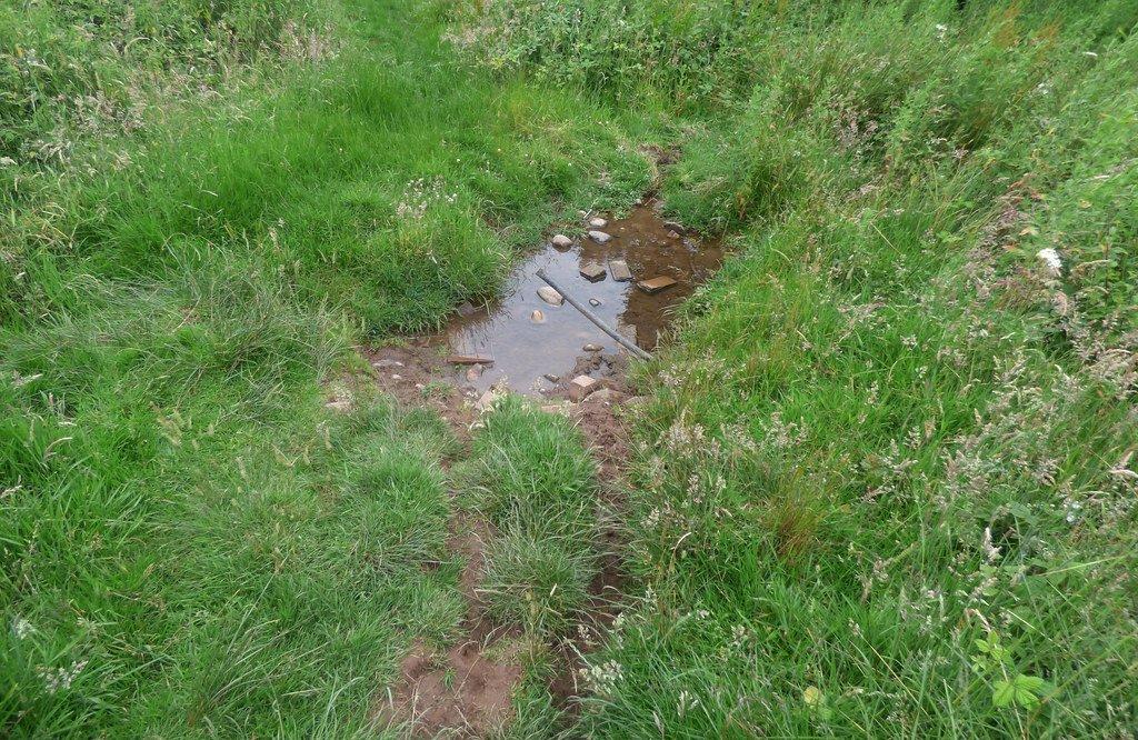 레아 강 발원지 (Source of the River Rea)