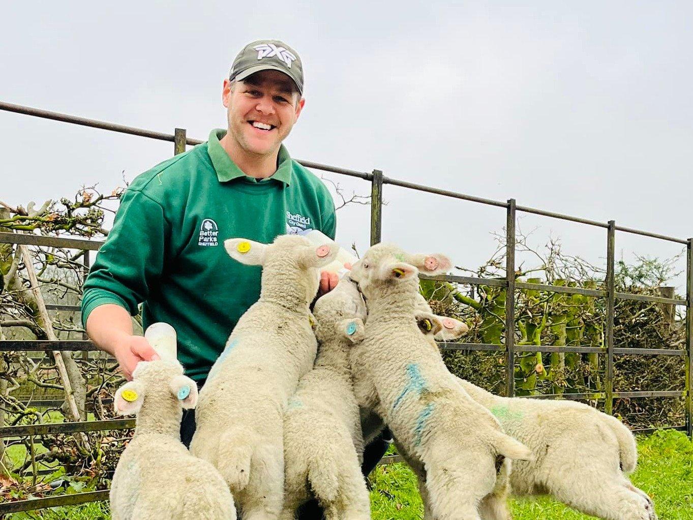 동물 농장 우리 주변