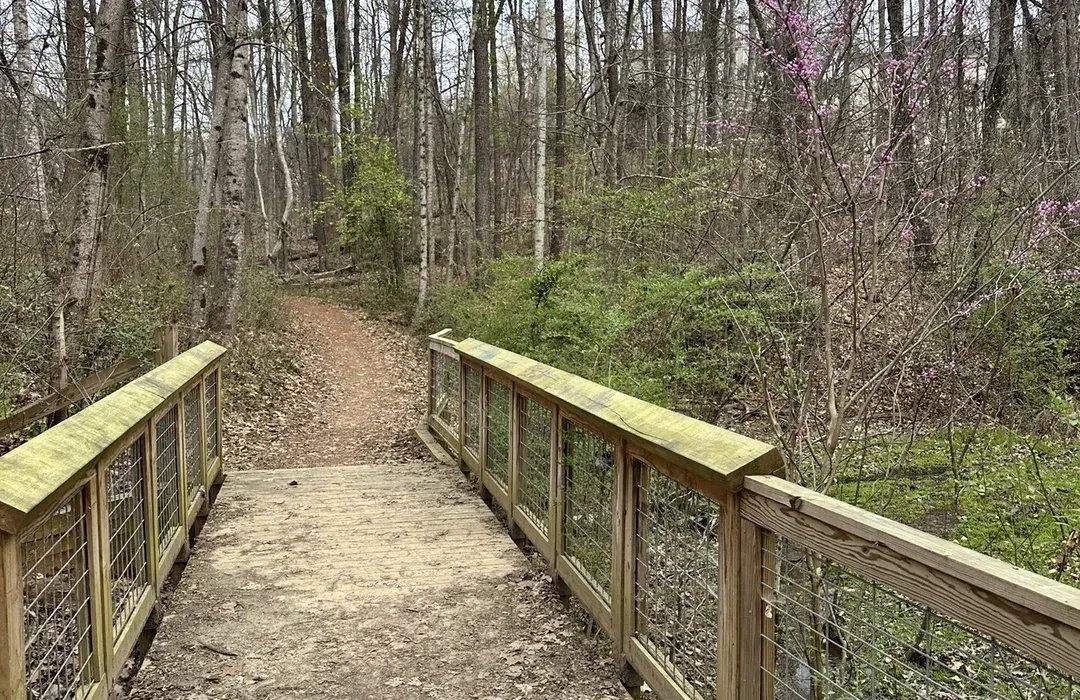 삼림지대 오솔길