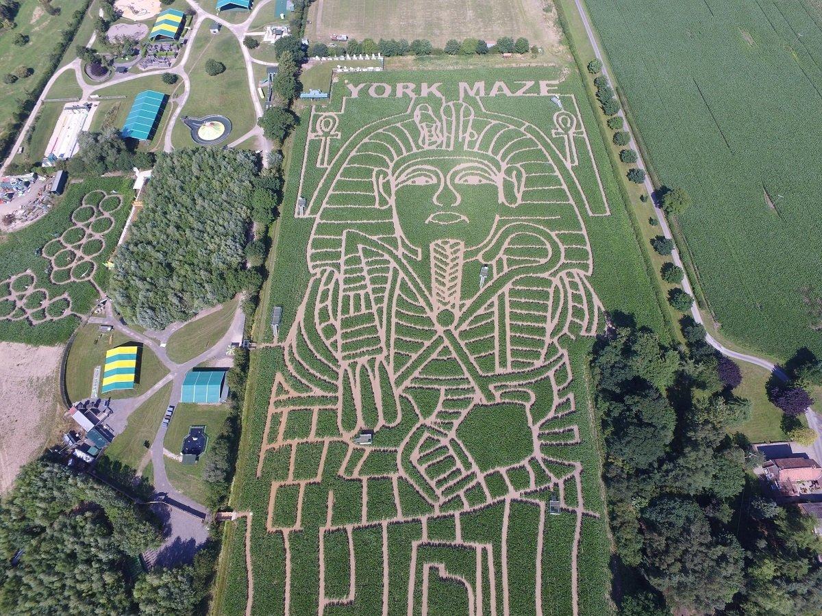 🌽 요크 메이즈