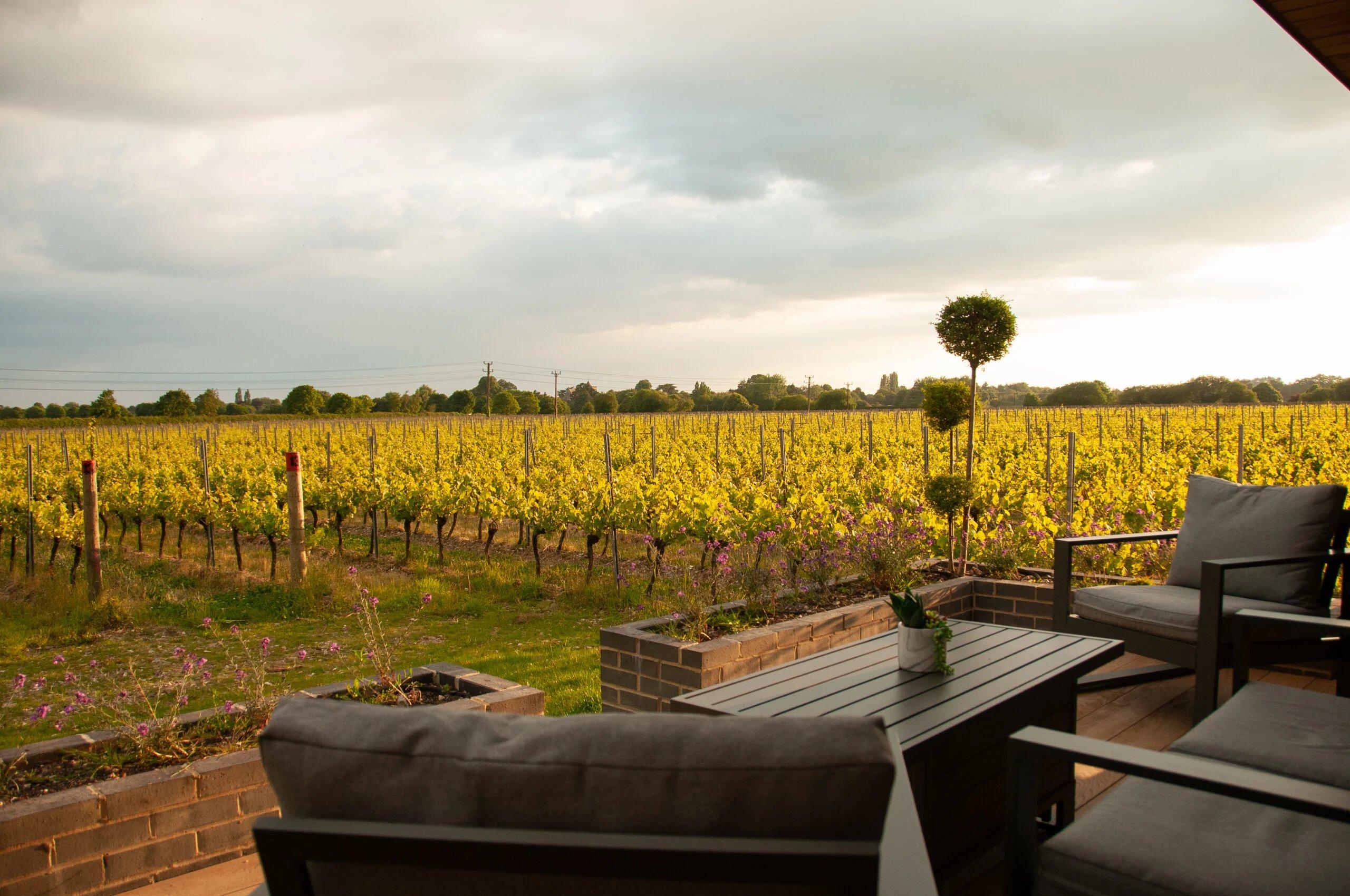 🍇 틴우드 에스테이트