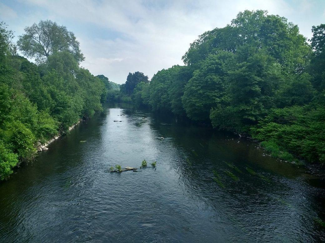 🌳 포레스트 팜 컨트리 파크