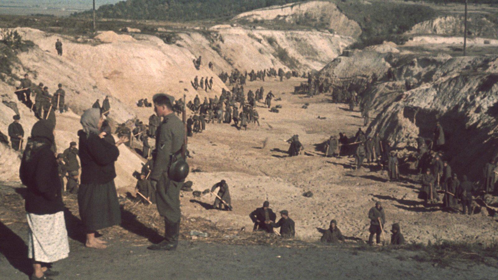 🕊️ 바비 야르